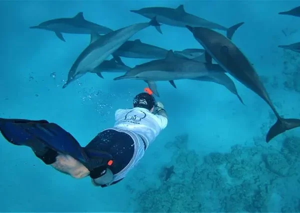 Dolphin House Hurghada (2)