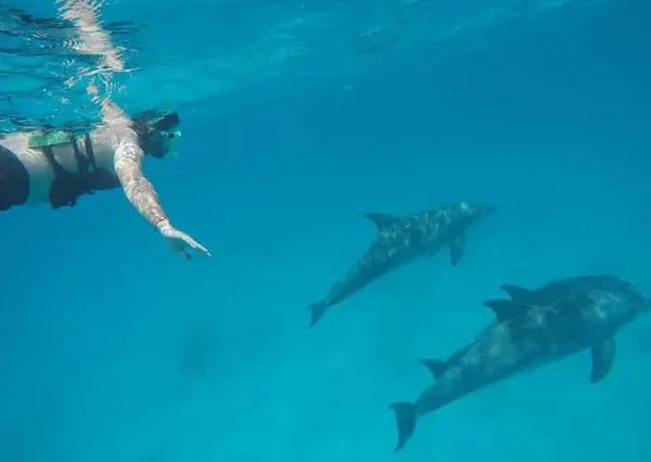 Dolphin Tour Hurghada , Dolphin Trip Hurghada , Dolphin House Boat Trip Hurghada, Dolphin House Hurghada Diving, Dolphin House Hurghada Egypt, Dolphin House Hurghada Price, Dolphin House Snorkelin