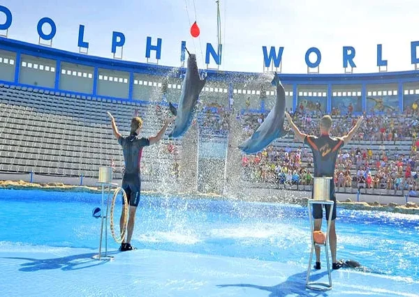 Dolphin World Hurghada, Delphin Show Hurghada, Dolphin Show Hurghada Price, Dolphin World Egypt Hurghada (2)
