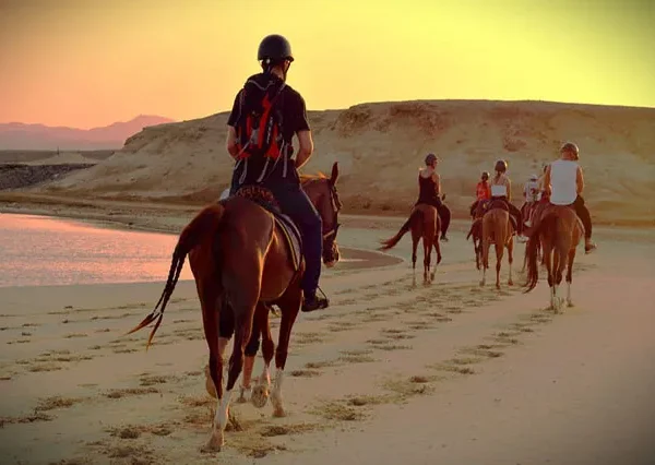 Horseback Riding Hurghada (1)